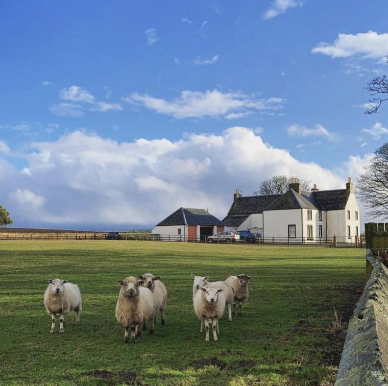 Tarrel Farmhouse Portmahomack Eksteriør bilde